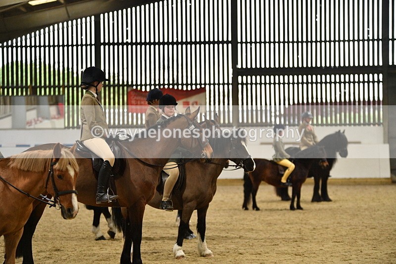 WJ5_8535 - Class 14 Novice Ridden/Rider