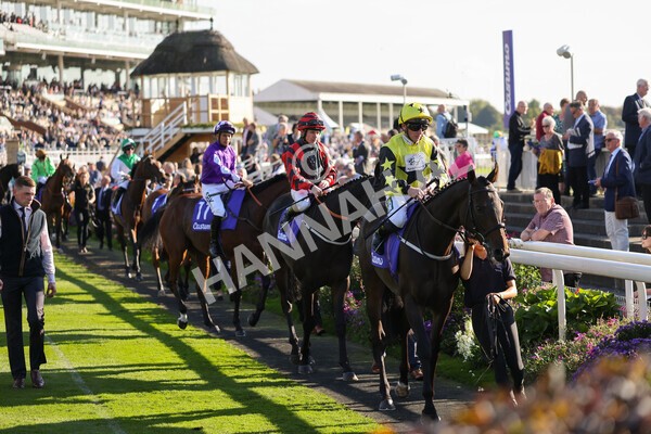 yr08102021r3-9 - Race 3 3.15pm Download The Casumo App Today Handicap