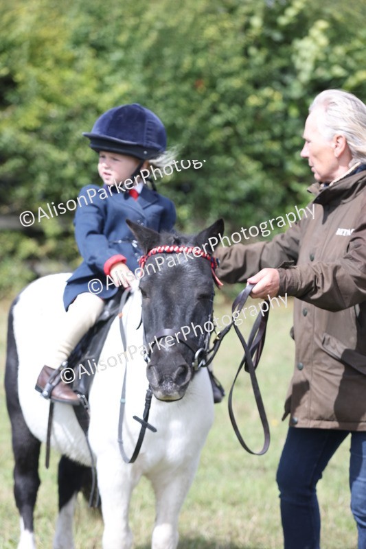 20250831-2766 - Class 17 - Lead Rein Pony