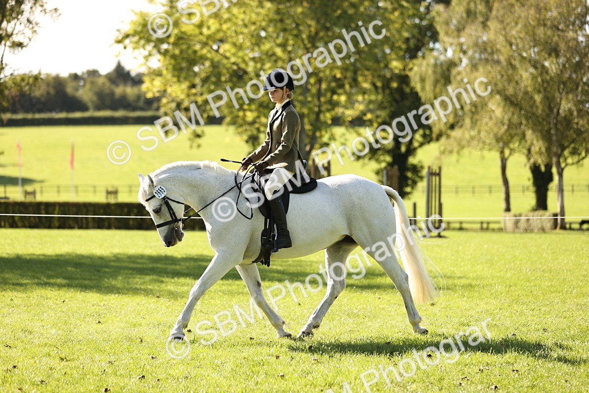 SBM_19088 - S3 - TSR Ridden Pony Showing