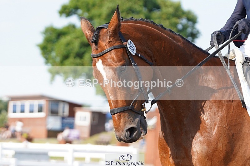 250621-175736-10378 - RoR Cls 6c-6b Novice