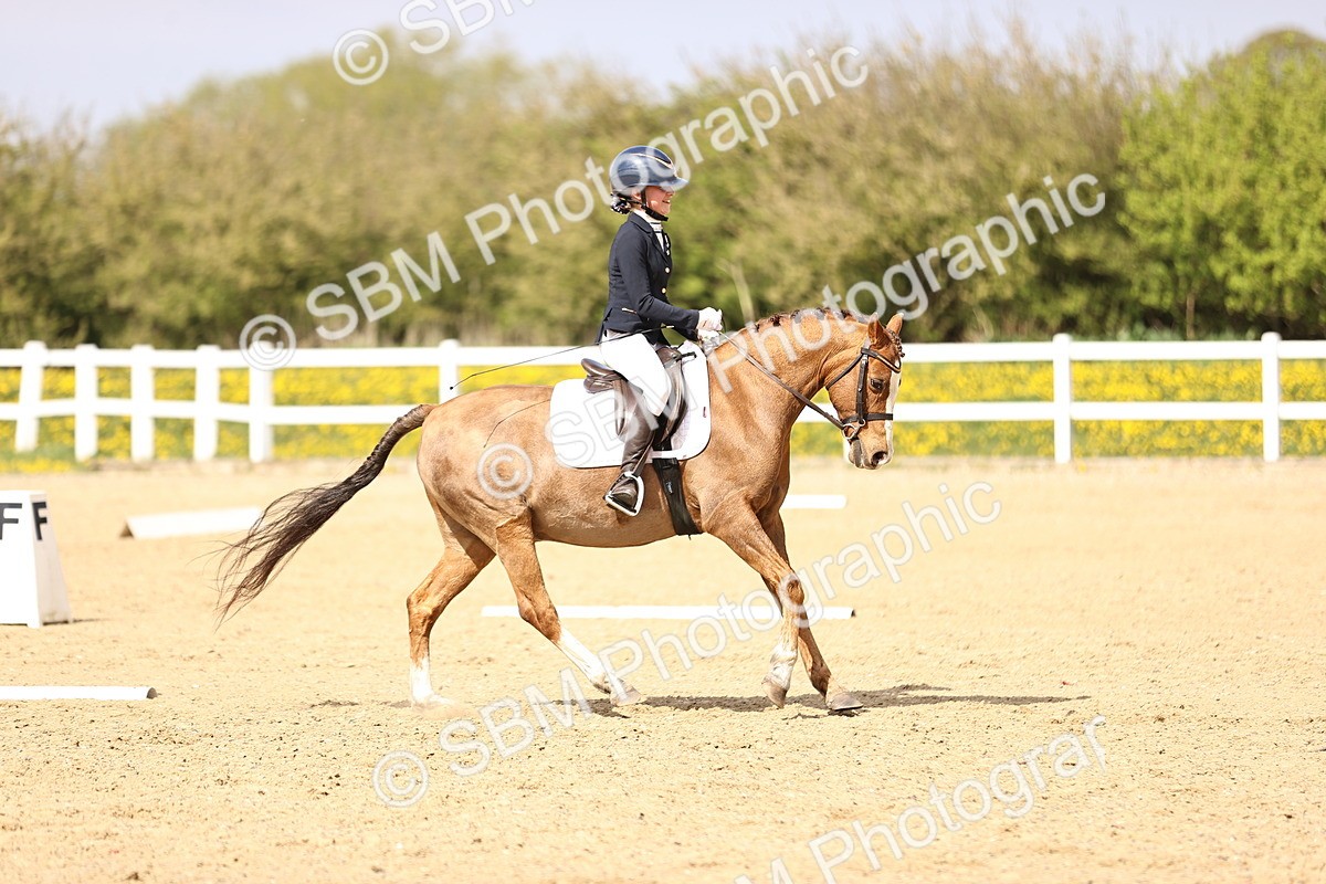 SBM_008464 - Class 8-10-11 - N3-E1-PYO