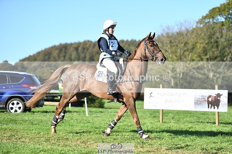 231022-103218-25648 - 213-MGH.HILDARE.HARLEQUIN-Danielle.Mccormack-XC