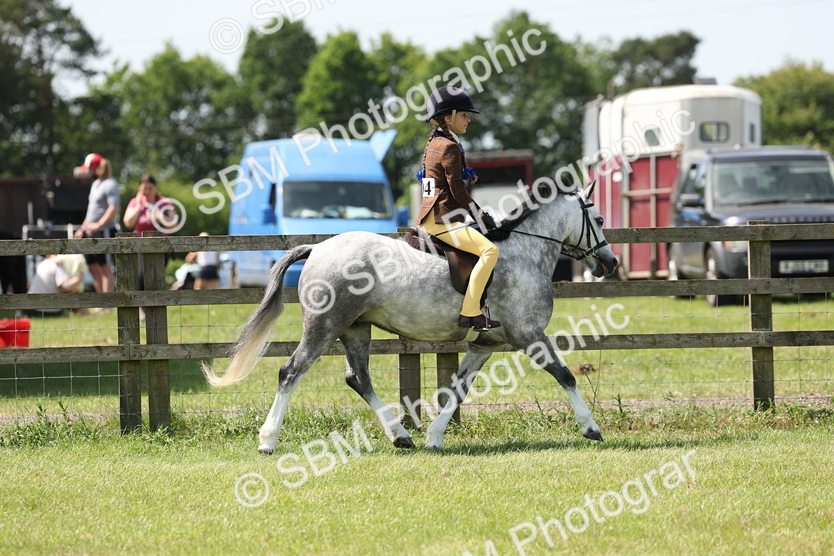 SBM_05327 - Class 24-25 - Mountain & Moorland In Hand Lead Rein and First Ridden