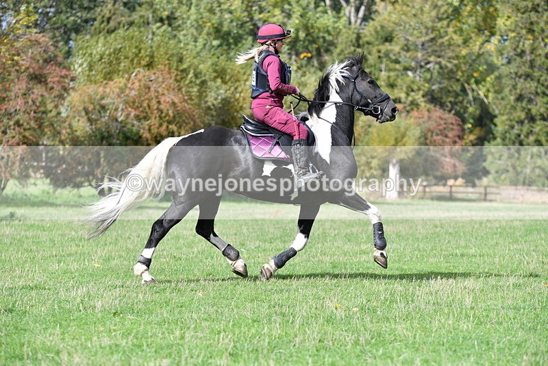 WJ5_8946 - Time 12:34 to 12:57