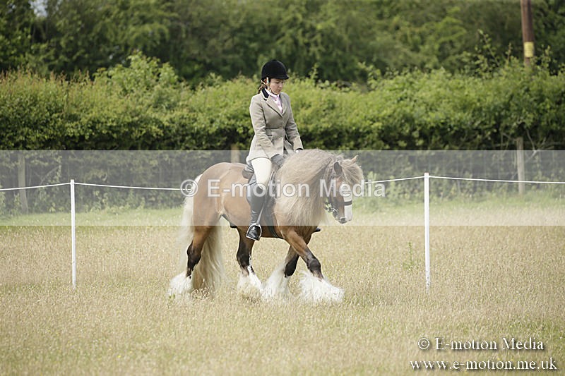 B230619-0423 - Bourne Valley Riding Club Summer Show 23/06/19