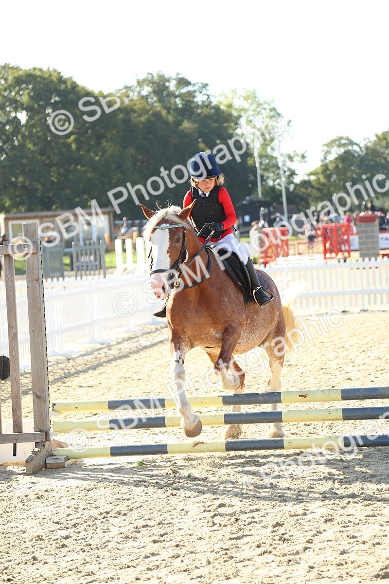 SBM_35861 - J5 - Junior Pony 50cm Championship