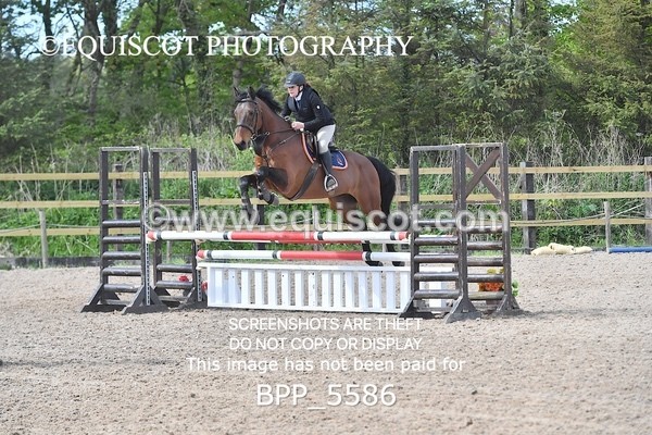 BPP_5586 - CLASS 24 SUN Senior BritiNovice/ 90cm Open