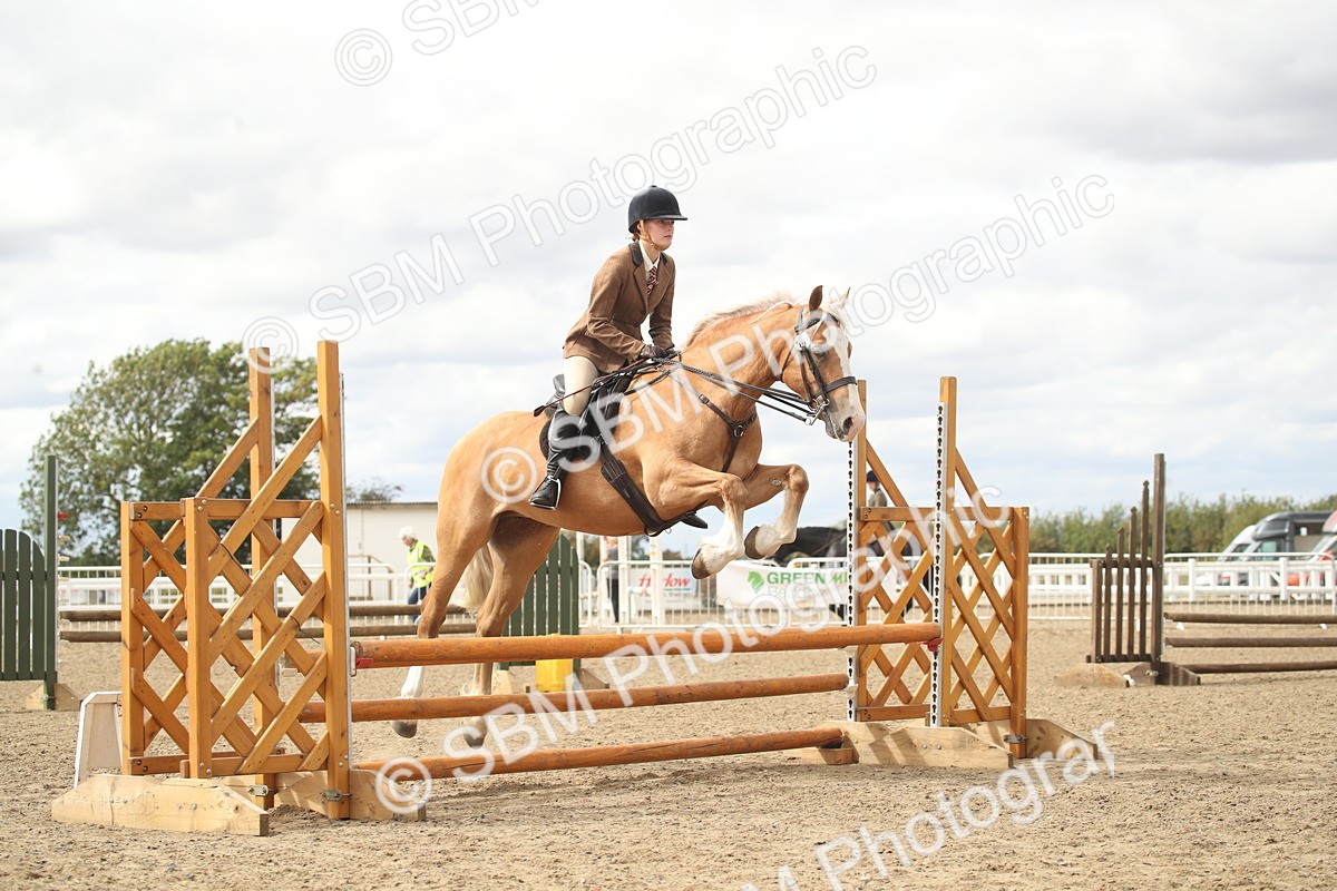 SBM_17671 - Class 508a - Working Veteran 70cm (15-19)