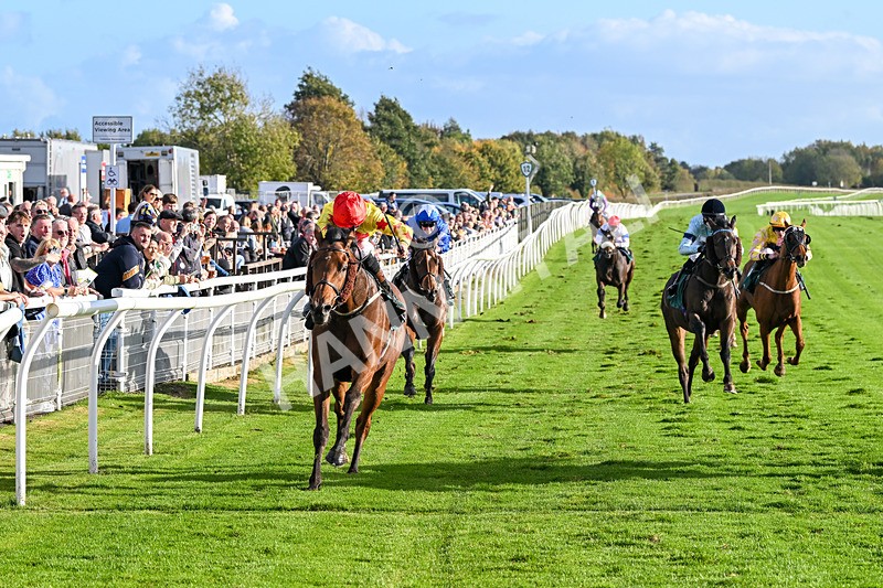 191024-Race 5-Vince Le Prince-4478 - Race 5