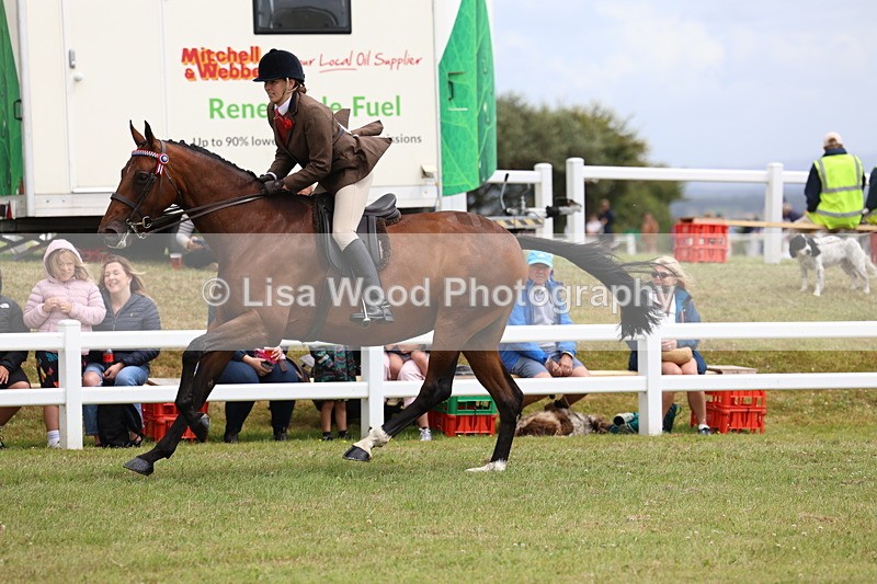 3E7A0994 - Class 8: Open Riding Horse/Hack