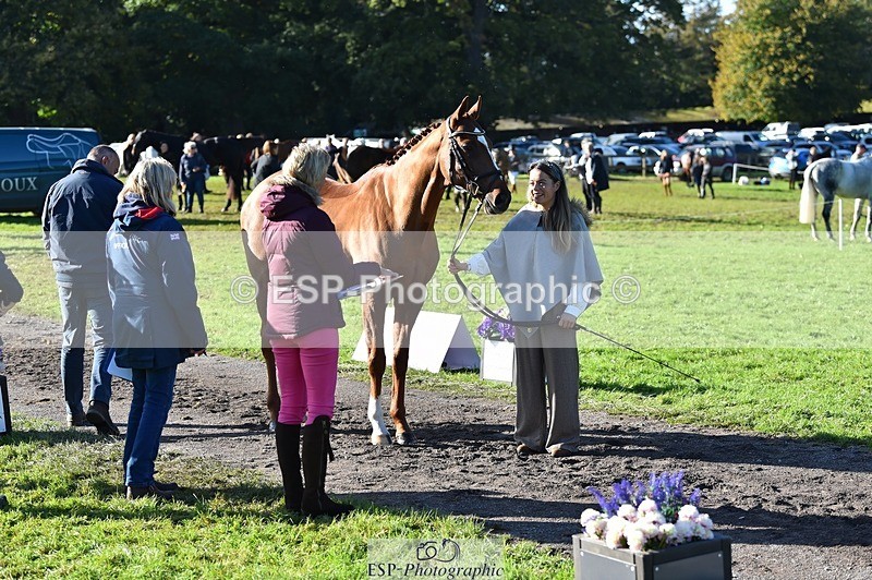 231022-110554-23716 - 436-MASSACHUSETTS-Georgia.Henderson-TrotUp+SJ