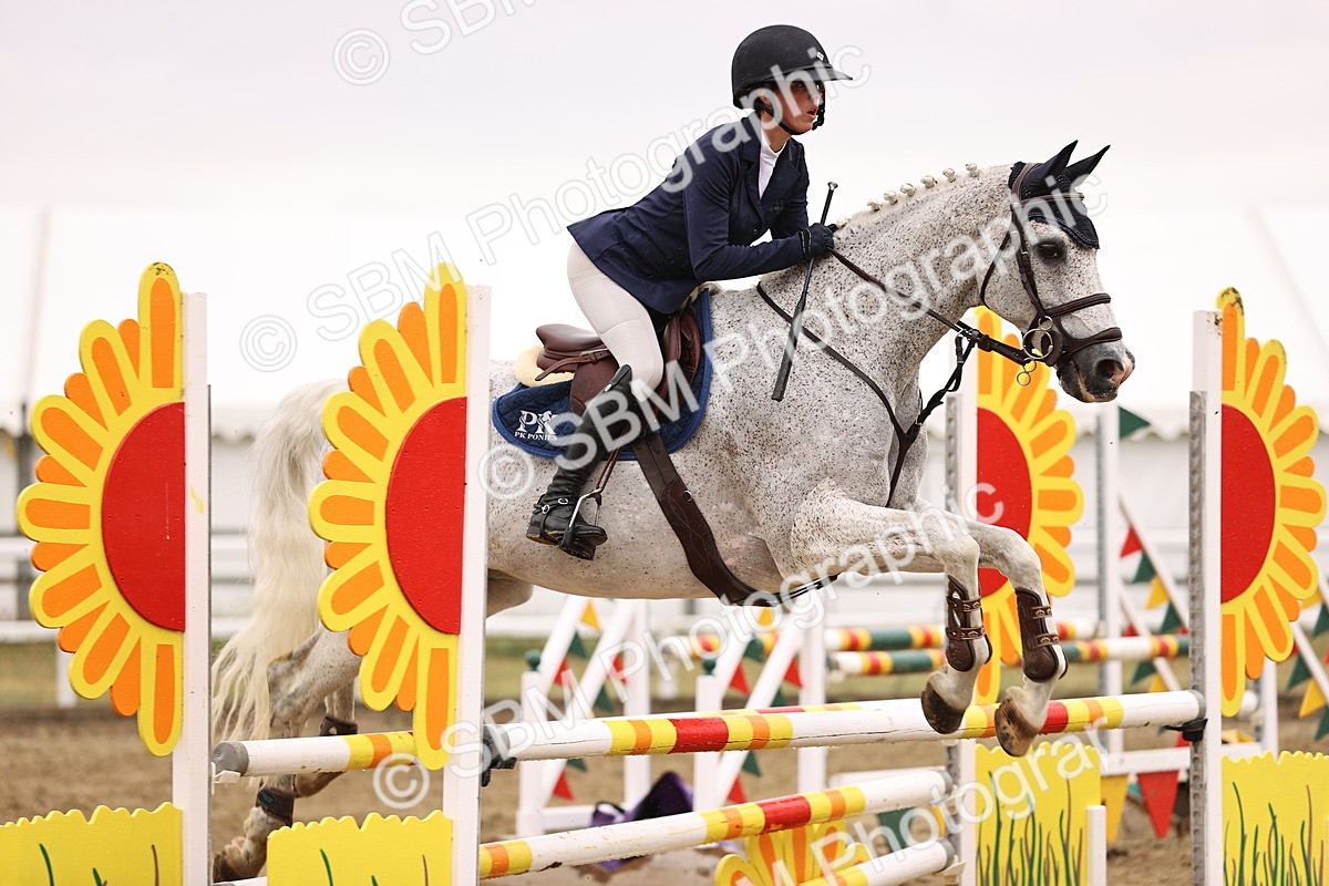 SBM_025234 - Class 9 - Senior British Novice - 90cm