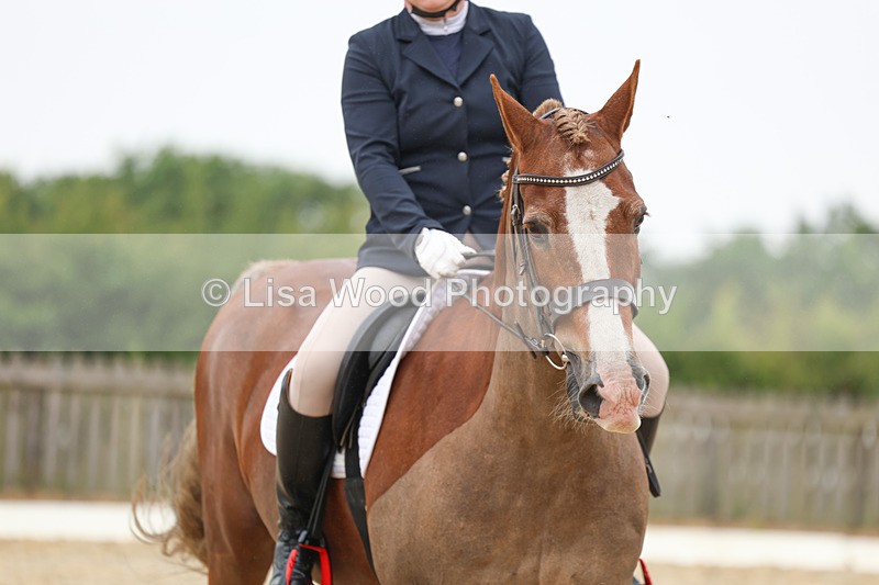 3E7A7997 - Class 1: Intro 3 2024 section A