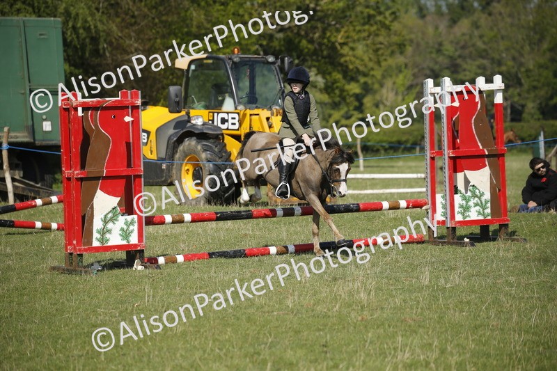 20250427-0417 - Class 12 - Rookie Jumping 40cm