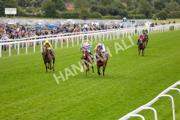 150624-Race 3-Klondike-6117 - Race 3 3.00pm Sky Bet Race To The Ebor Grand Cup Stakes