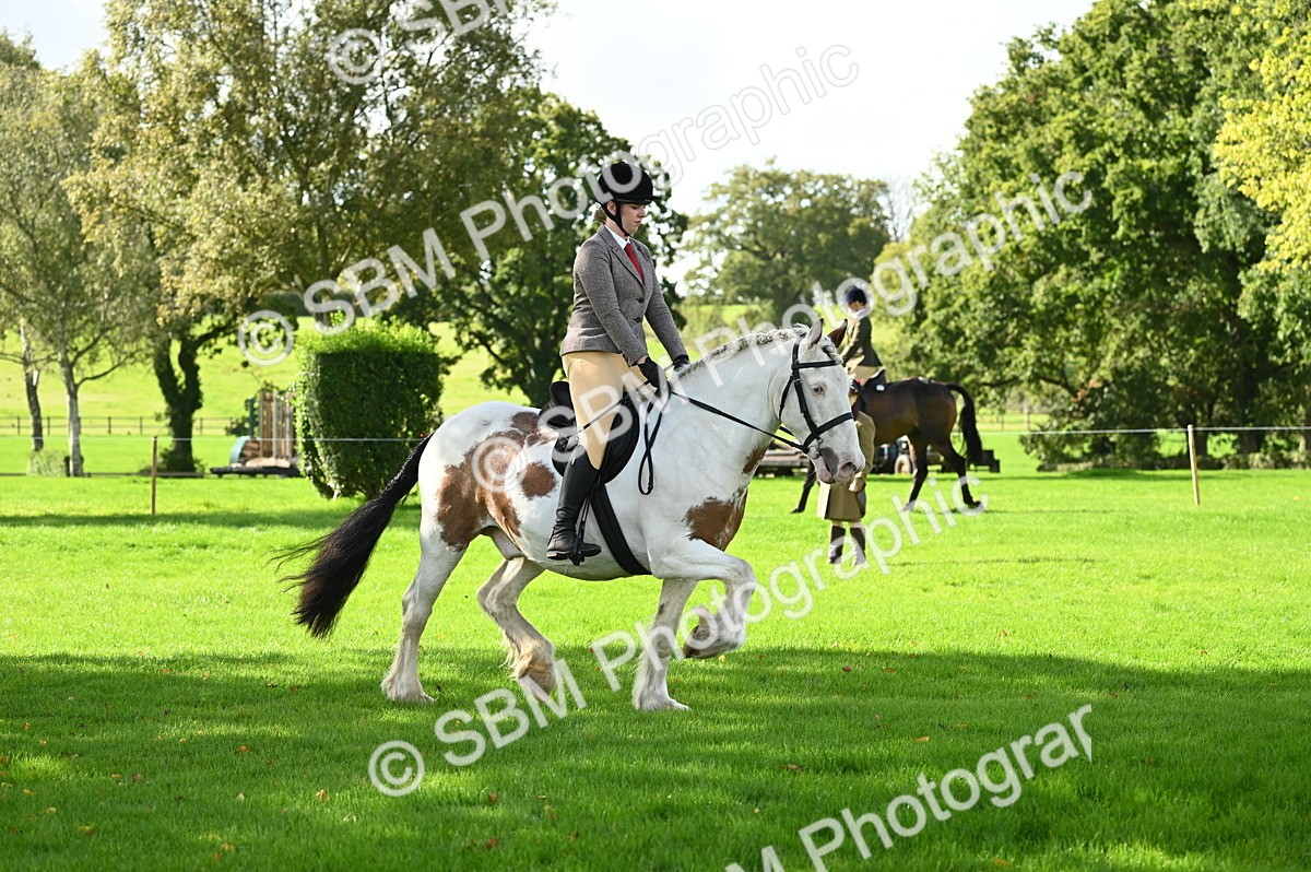 SBM_01506 - S2 - TSR Ridden Horse Showing