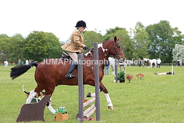 IMG_2784 - Working Hunter