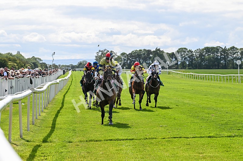 060625-Race 5-Miss Brazen-4927 - Race 5