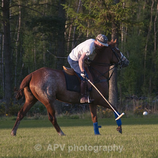 _DSC8273 - POLO Training