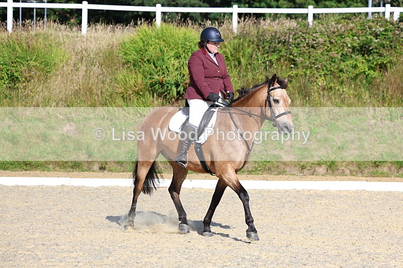 3E7A3425 - Class 2: Intro 1 2024 Section B