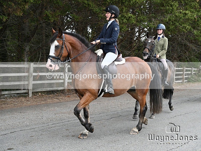 WJ7_1329 - Berks & Bucks Hound Exercise Blewbury 13-09-26