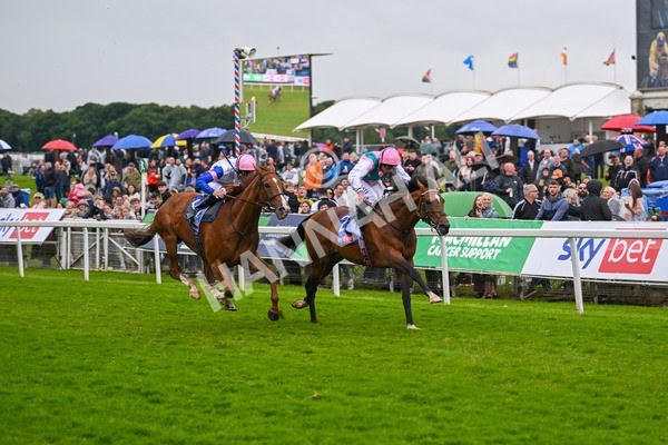 150624-Race 3-Klondike-7102 - Race 3 3.00pm Sky Bet Race To The Ebor Grand Cup Stakes