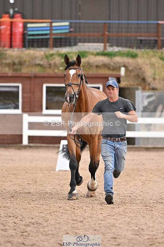 250716-145754-01553 - Trot Up 2.30 to 3.30