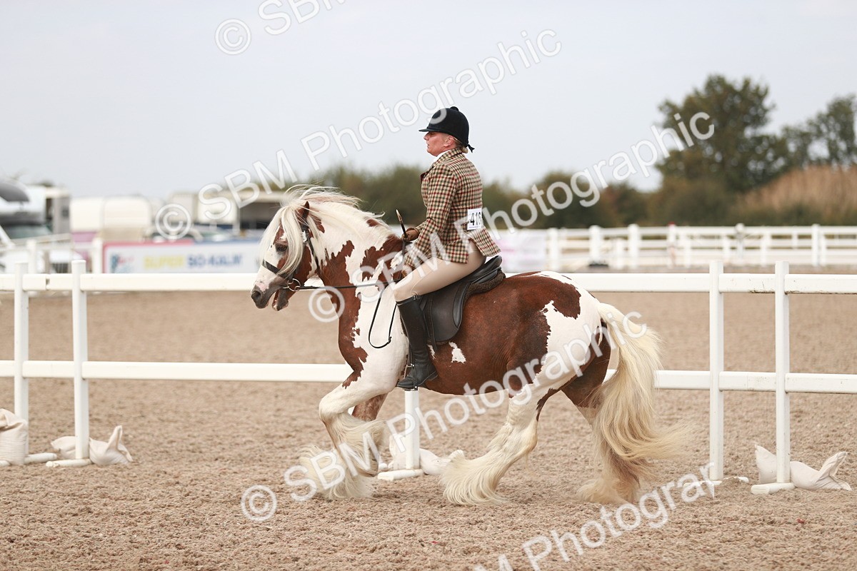 SBM_16696 - Class 214 Ridden Cob