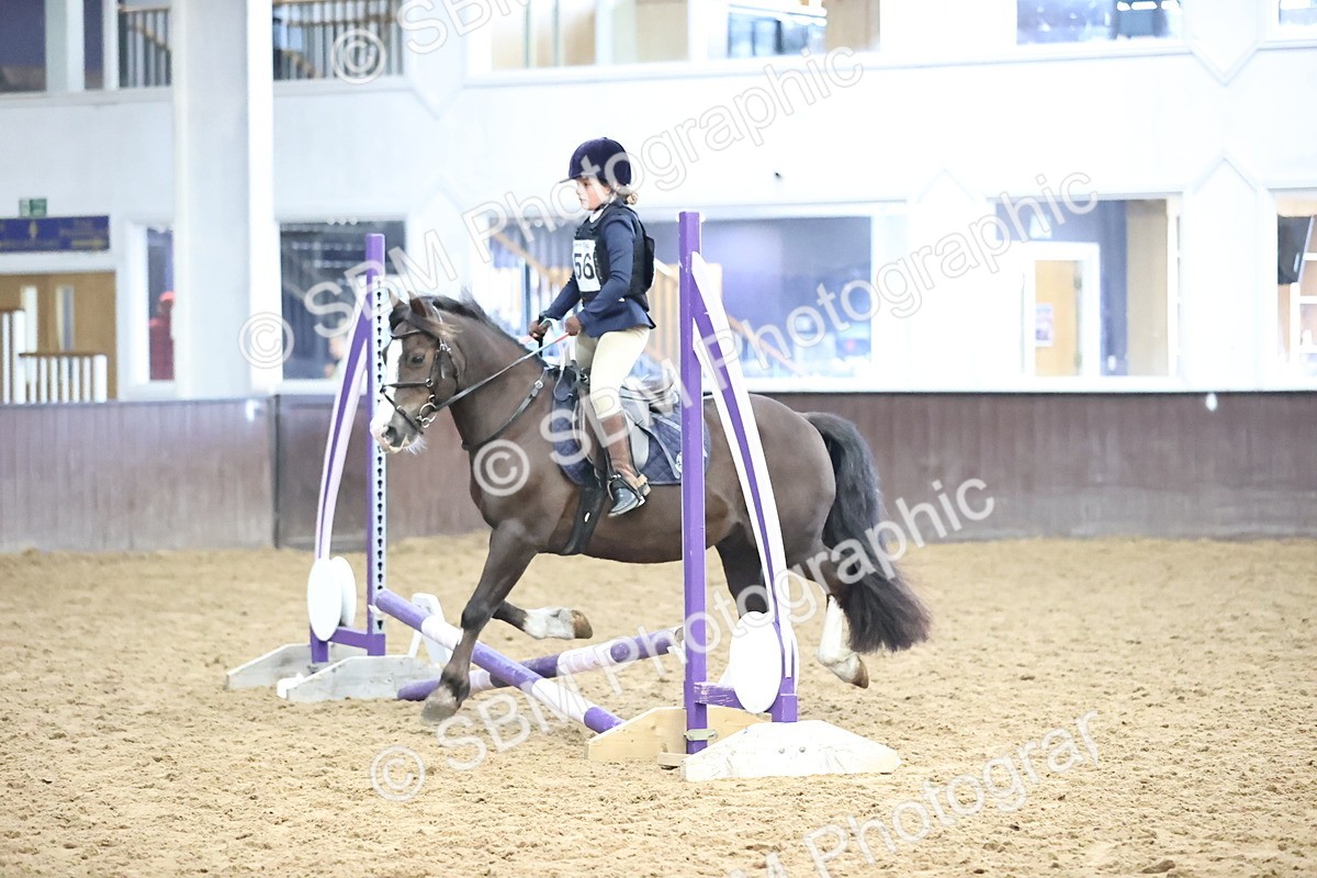 SBM_000234 - Class 2 - The Rug Lady 40cm Area 12 Championship Qualifier