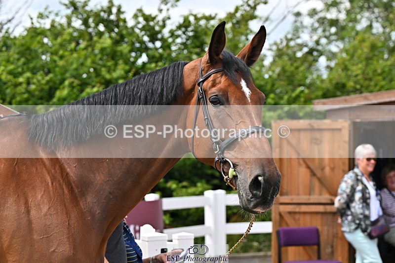 240718A-105311-01683 - Trot Up 1pm to 2pm