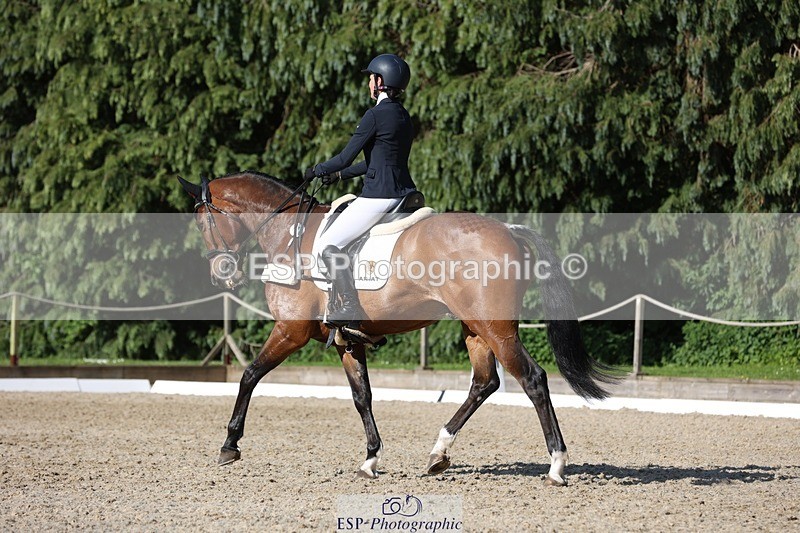 230526-173323-07991 - 179-JARSON-Charlotte_Agnew-WEDTrotUp+DR