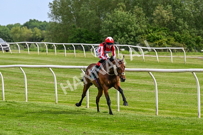 300526-Race 5-Holbache-0674 - Race 5 16.12pm Ann Whitehouse Memorial Veterans' Handicap