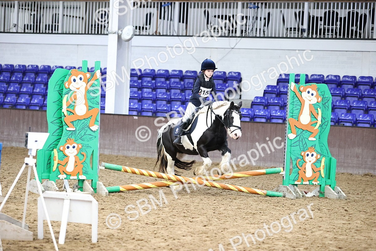 SBM_000242 - Class 2 - The Rug Lady 40cm Area 12 Championship Qualifier