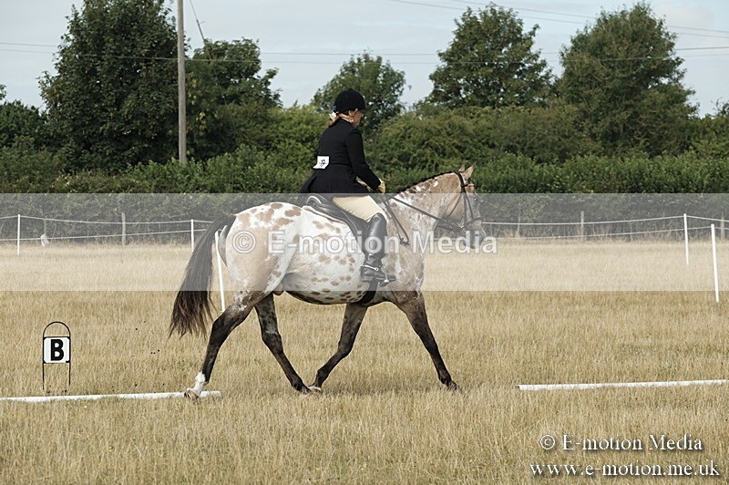 _PJP5701 - Dressage Classes BVRC Show 2018