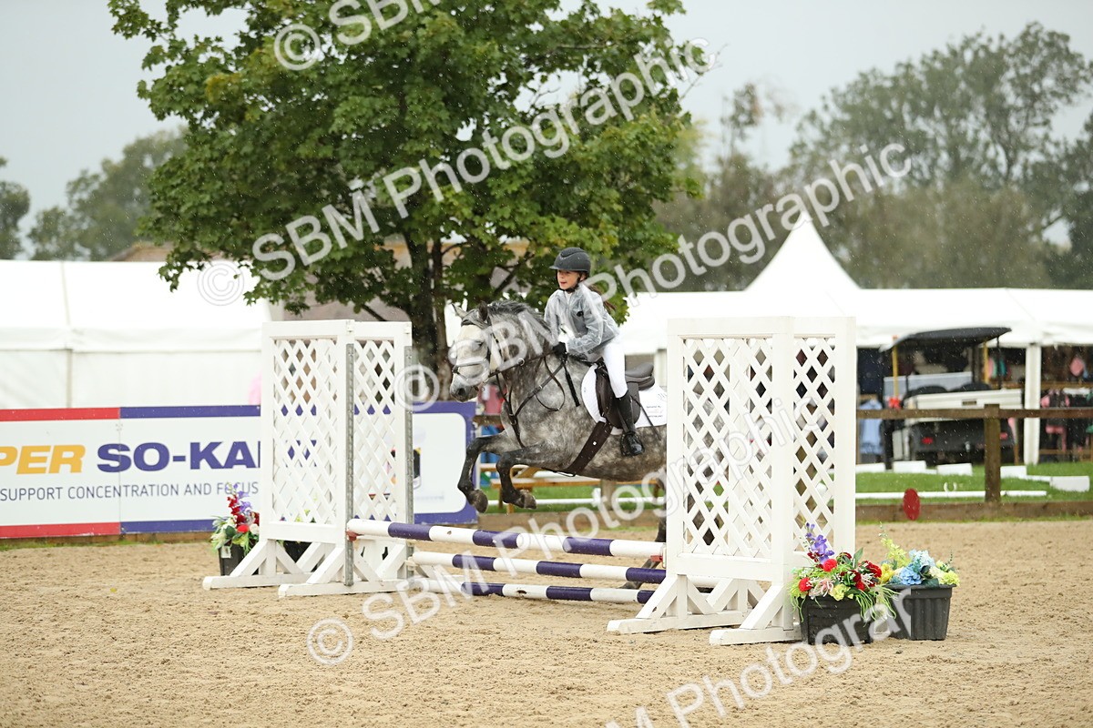 SBM_34293 - J60 Clear Round 50cm