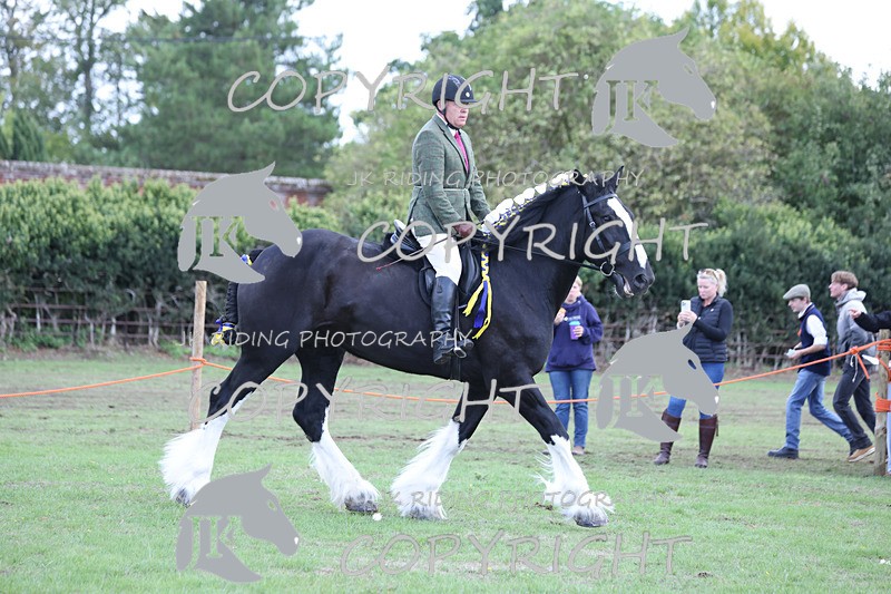 APP_3636 - Class 8 Ridden Class