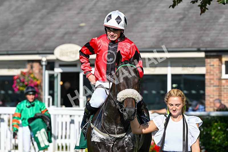140926-Race 4-Lamlash Bay-7281 - Race 4 3.51pm Sapphire Selling Handicap