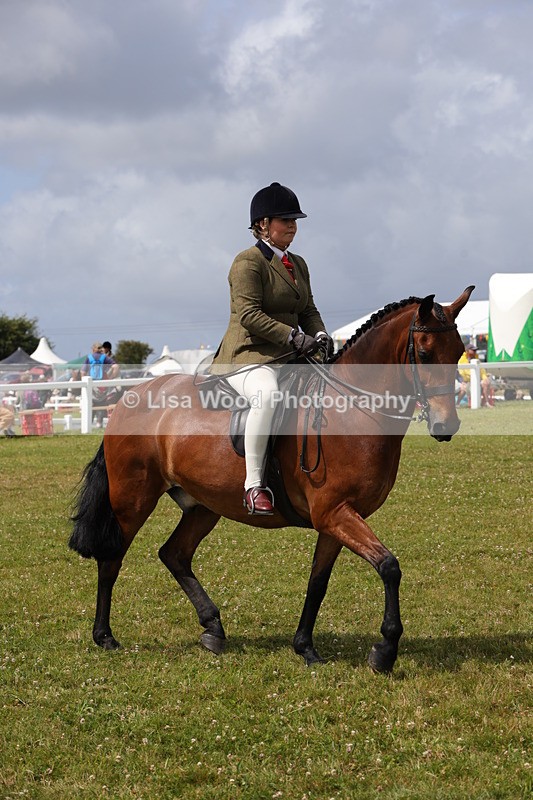 1X9A4096 - Class 32: Show Hunter Pony 153cm and under