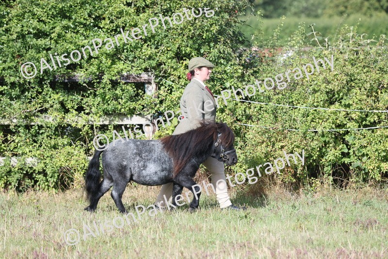 20250831-1307 - Class 21 - Inhand Open