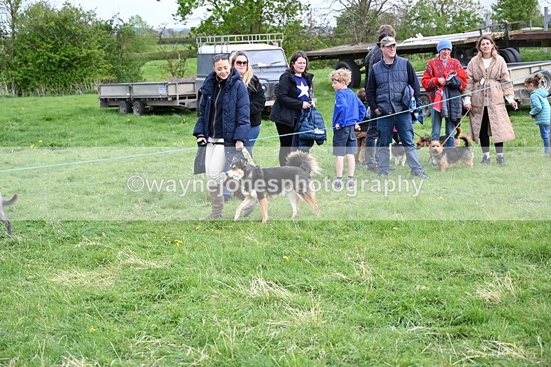 WJ6_8475 - Class 6 Best Rescue