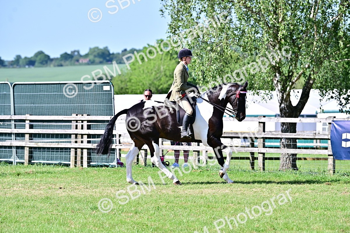 SBM_19493 - Class 101-102 - BSPS LIHS Performance Coloured Horse/Pony