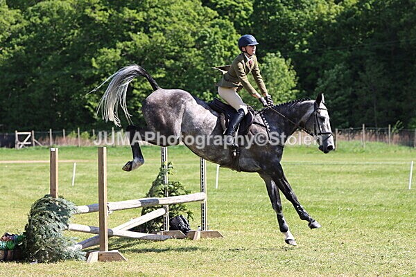IMG_4599 - Working Hunter