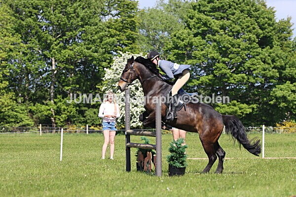 IMG_4767 - Working Hunter