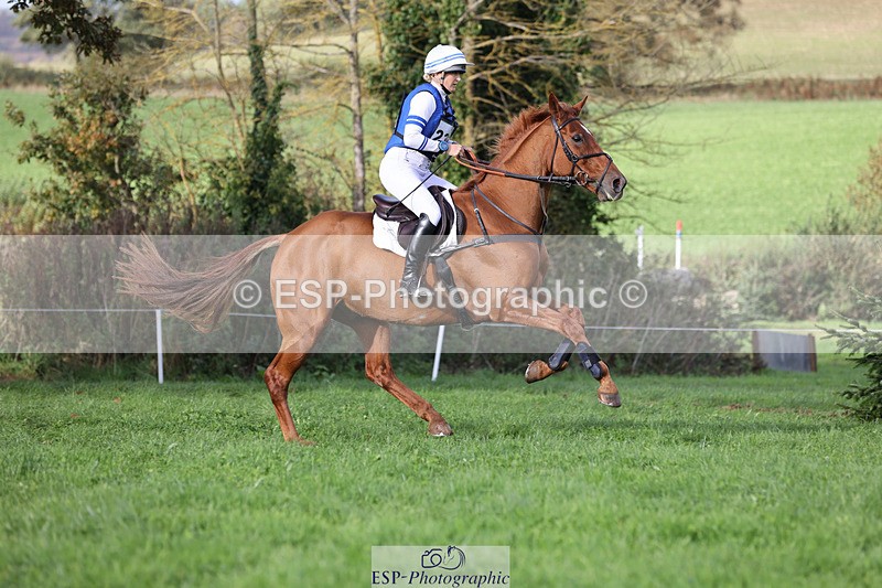 241025-145720-09183 - 239-Lissa.Green-KILLBUNNY.ANDY