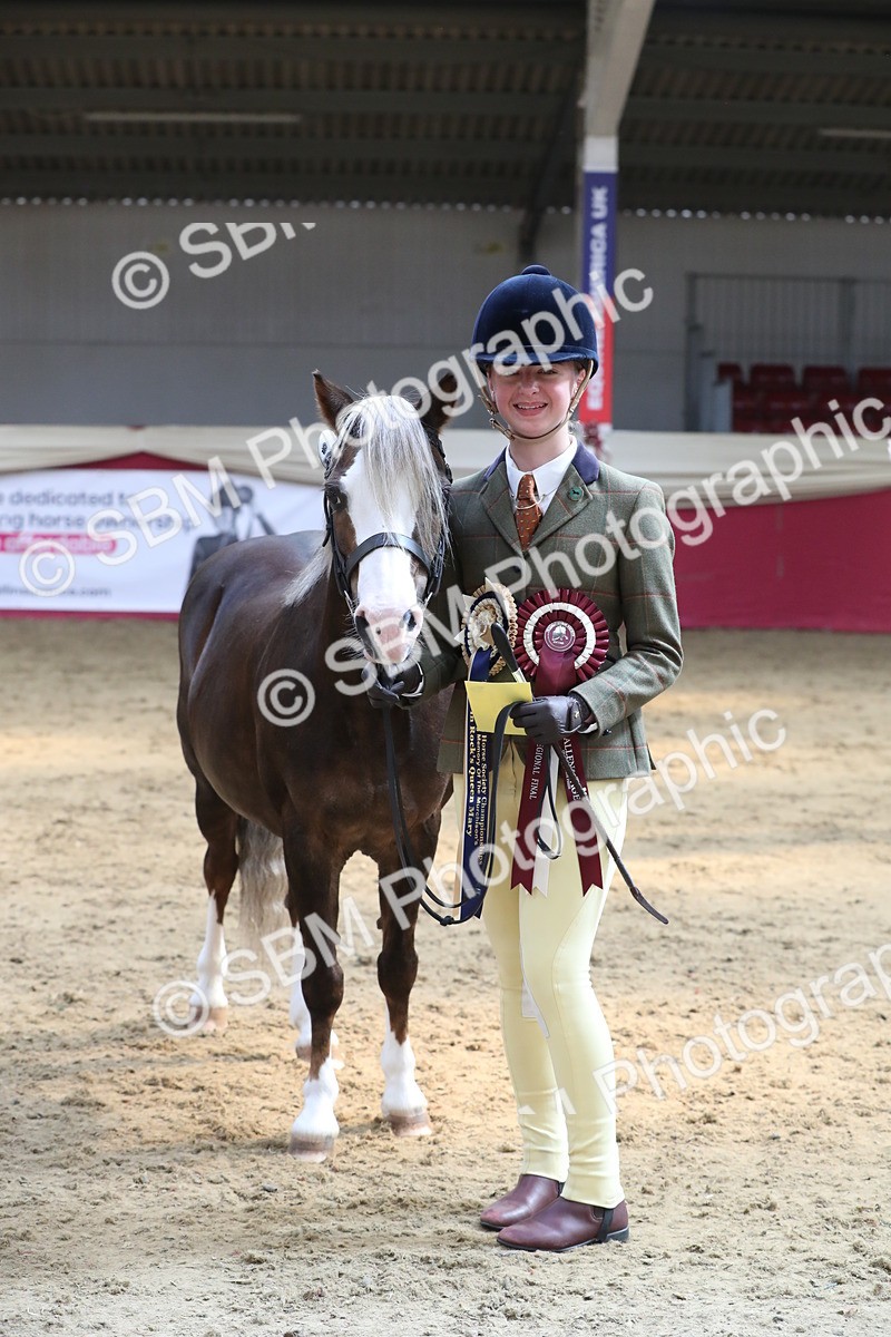 SBM_04463 - Class 7R Regional - IH Diamond