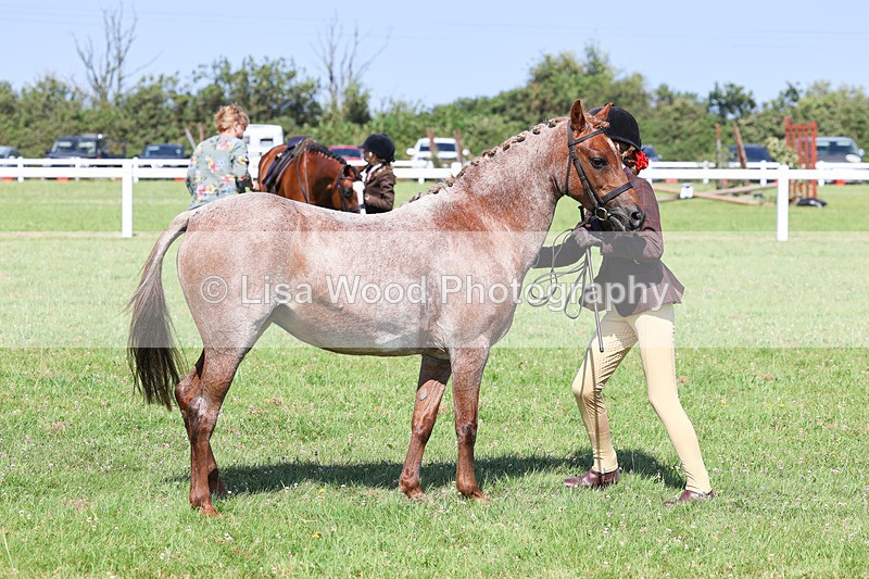 IMG_2047 - Class 34: Show Hunter Pony 153cm and under