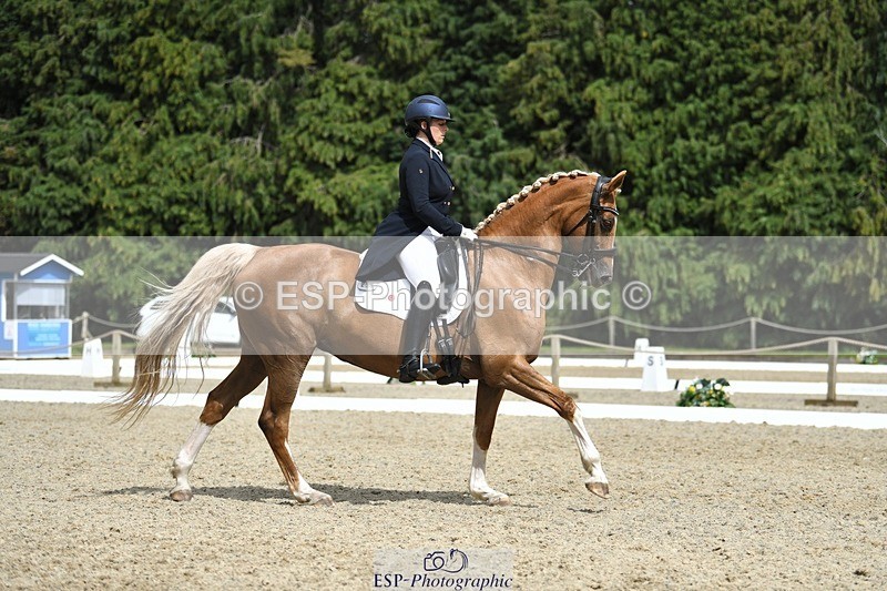 230812-144406-04782 - Cls 7 FEI PSG Bronze