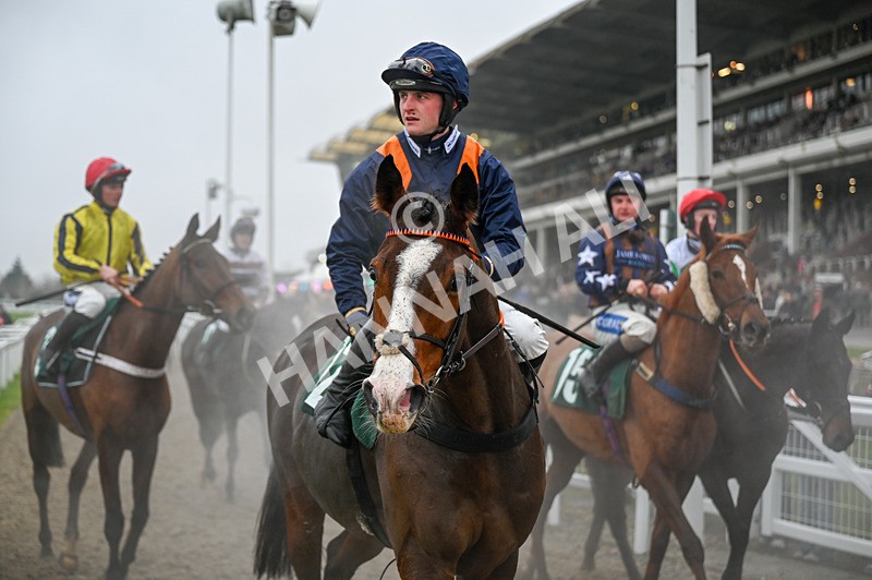 131224-Race 3-Mirabad-9550 - Race 3