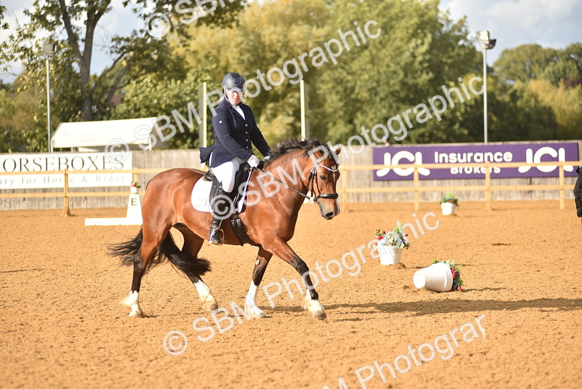 SBM_29658 - D16 -Small Tour Championship Novice 2